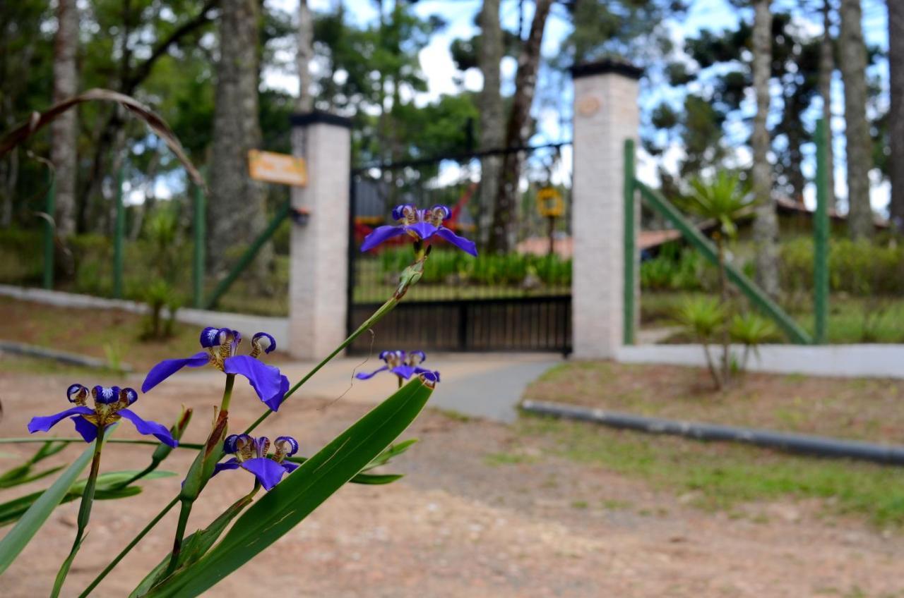 ホテル Pousada Paraiso Das Araucarias モンテ・ヴェルデ エクステリア 写真